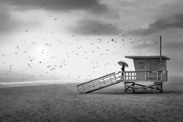 Drink Driving Limits In 2024?