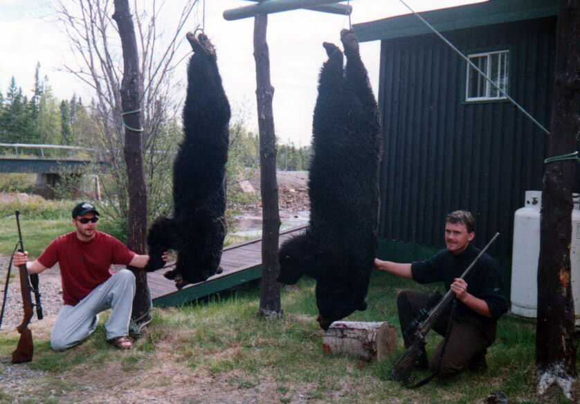 Black Bear Hunting