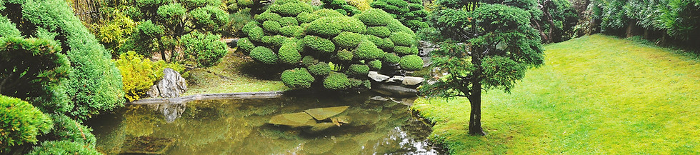 Serene Garden Pond