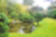 Serene Garden Pond