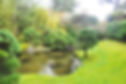 Golden Gate Park