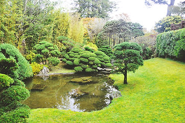 Park lake garden