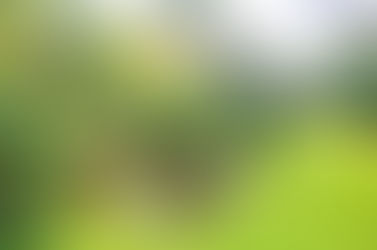 TurfMutt Foundation Offers Six Tips to Celebrate Earth Day In Your Own Backyard