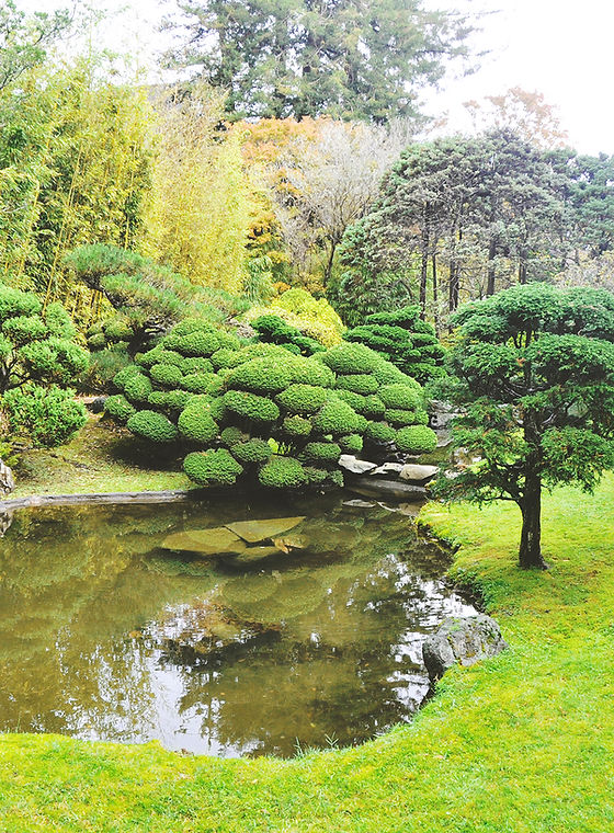 Golden Gate Park