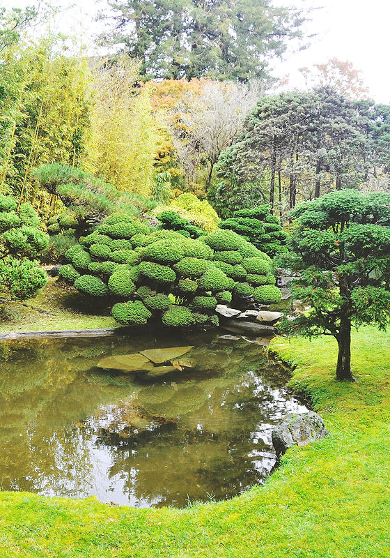 Golden Gate Park