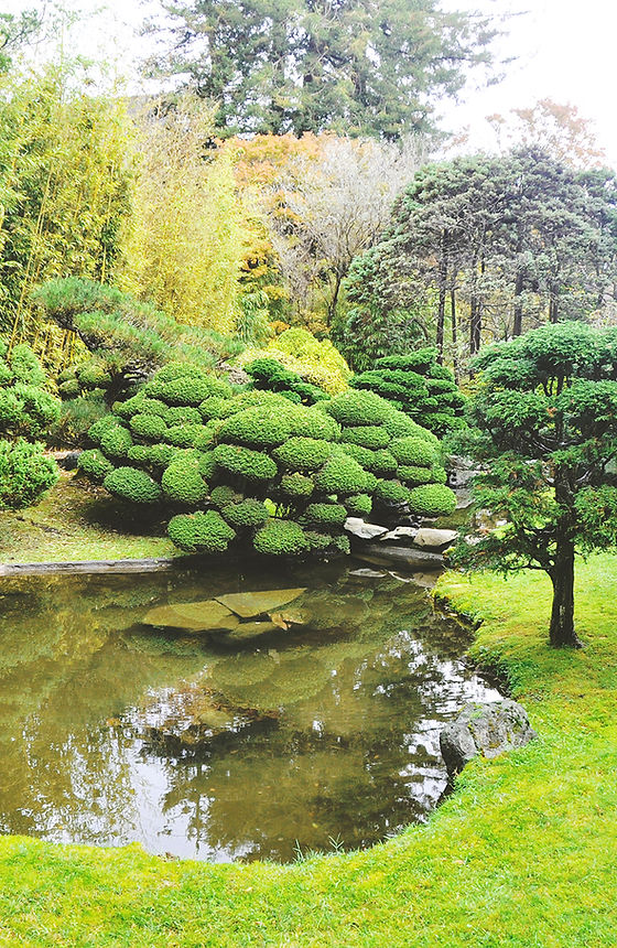 Golden Gate Park