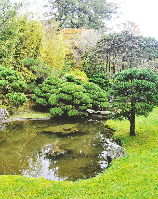 Golden Gate Park