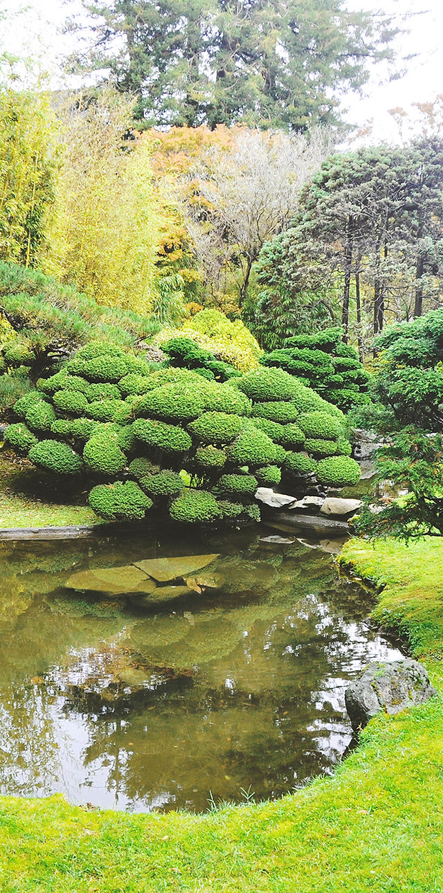 Get a Quote | PARADISE HARDSCAPES AND CONSTRUCTION LLC CCB#232000