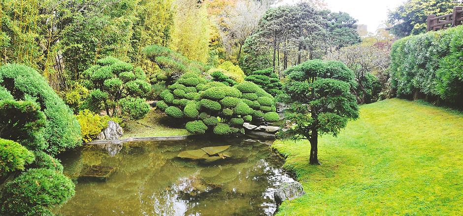 Golden Gate Park