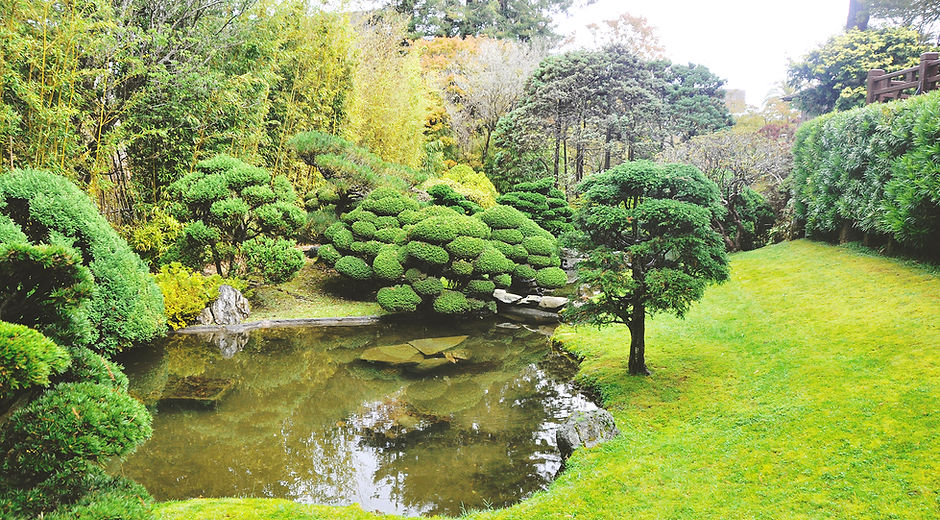 Golden Gate Park