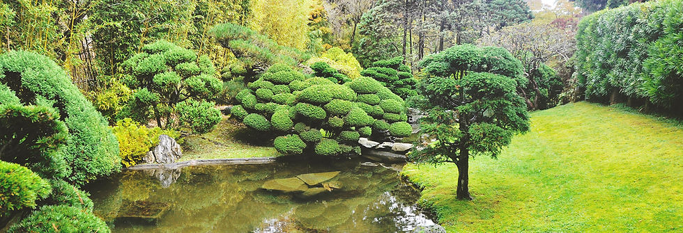 Golden Gate Park   