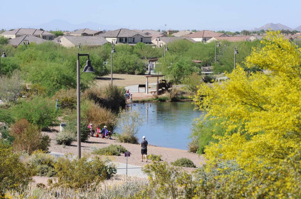 Los 4 mejores lugares para hacer un picnic en Chandler