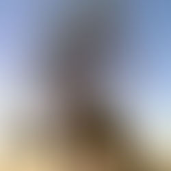 Something about you...