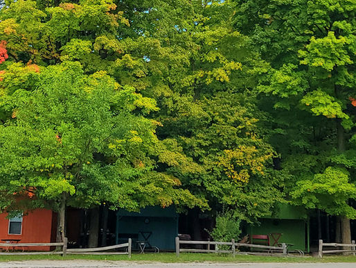 Best Cabin Campground in Northern Michigan: Chain O’ Lakes in Bellaire, MI