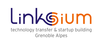 logo-linksium.gif