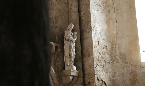 P1034054-2.jpg