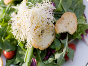 Energizing Bowl