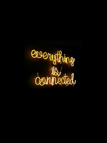everything is connected.jpeg