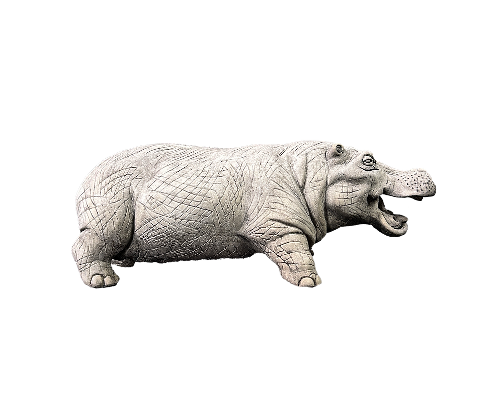 Thumbnail: Henry Hippo
