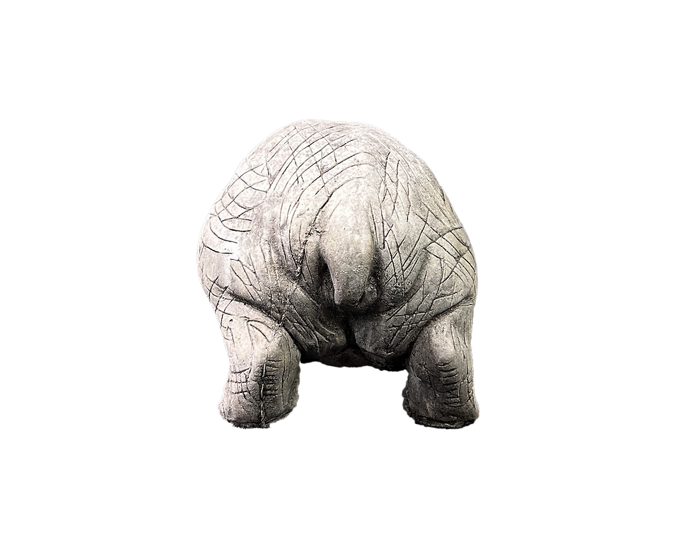 Thumbnail: Henry Hippo
