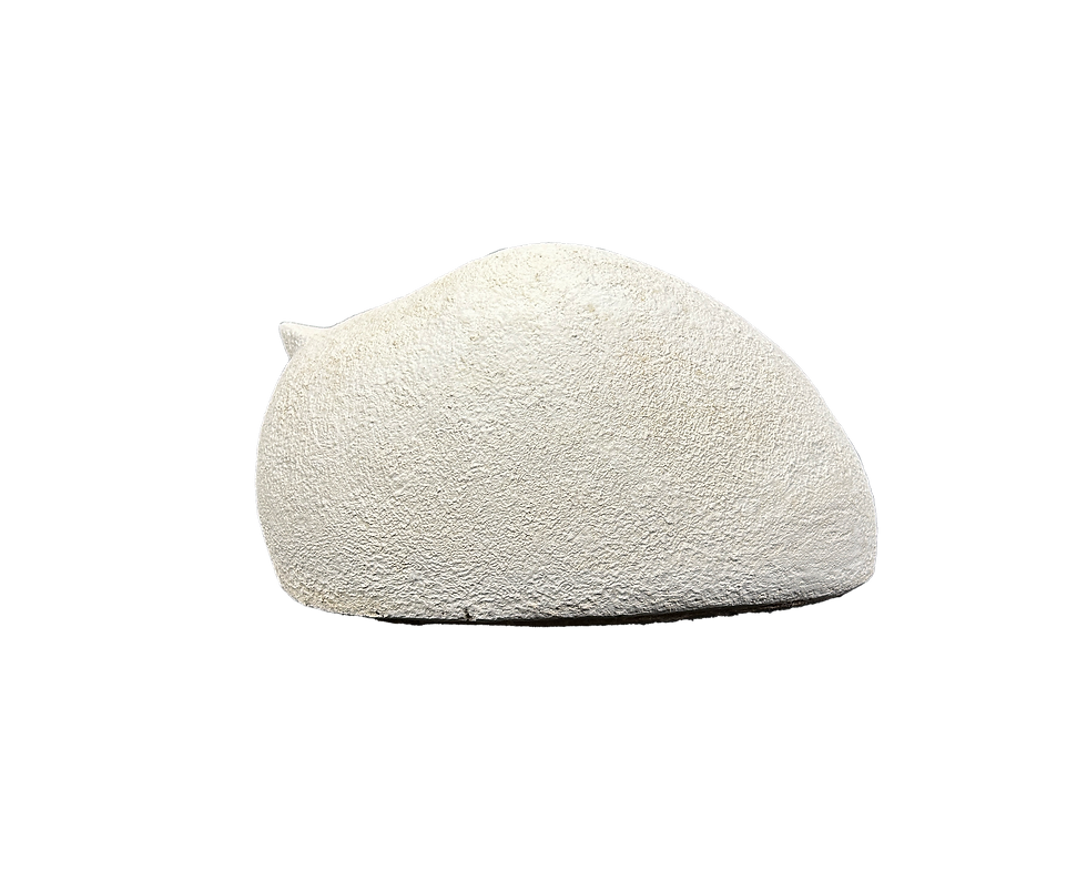 Thumbnail: Fat Cat