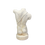 Thumbnail: Male Torso