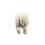 Thumbnail: Rhinoceros