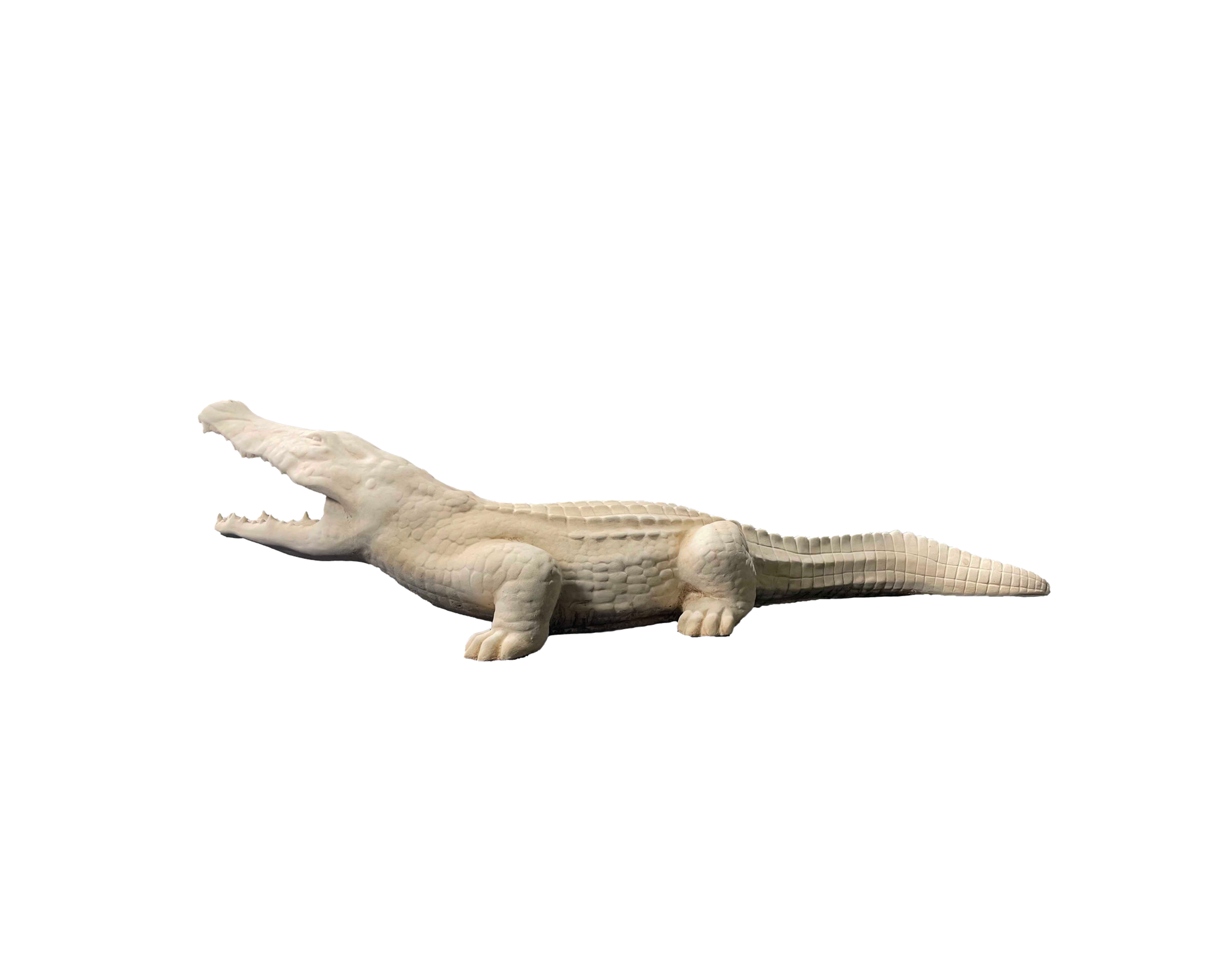 Alligator