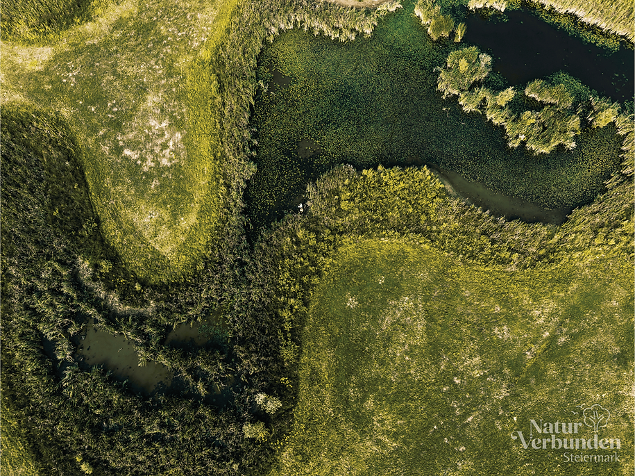 Projekt Biotopverbund Übersichtsbild©Thomas Sattler Photography  NaturVerbunden Steiermark