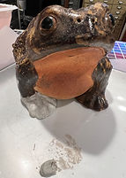 IMG_7641.JPG