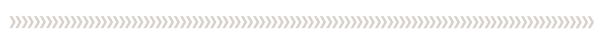 + Bellaire Park_Supporting Pattern & Elements_Separate-08.png