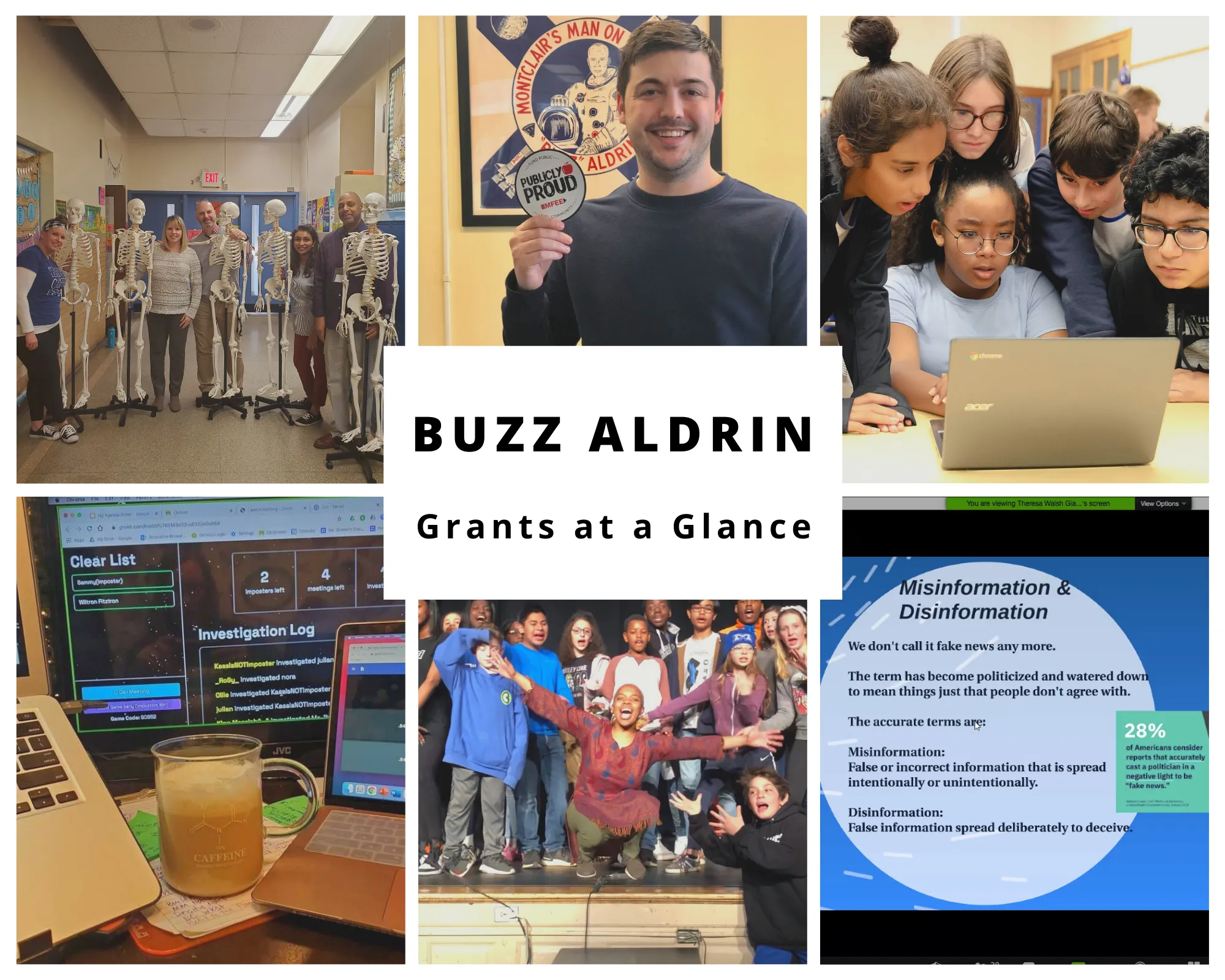 Buzz GRANTS at A Glance.png.webp