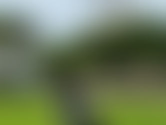 Tác động của học tập cảm xúc xã hội đến thành tích học tập