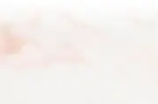home-3-background-2 (1).webp