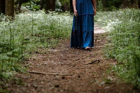 woodland lower half of blue dress.jpg