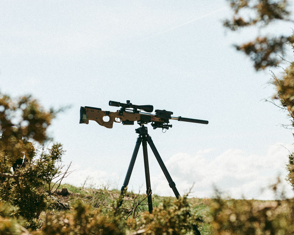 dana-15.jpg