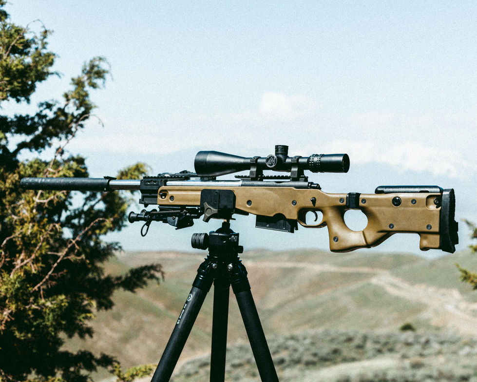 dana-18.jpg