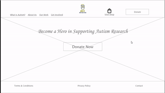 ACI Shop Before GIF.gif