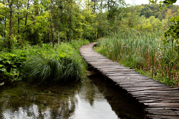 Path.jpg