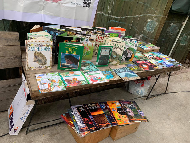 Gửi nắng về miền trung22.jpeg