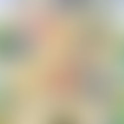 UniteUp! | Revelado que anime de TV terá 2ª temporada