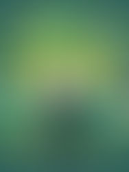 Four Pillars of Environmental Sustainability