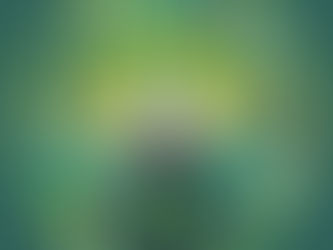 Four Pillars of Environmental Sustainability