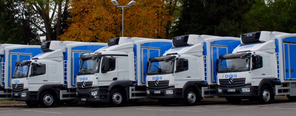 DIBS Lorry_edited.jpg