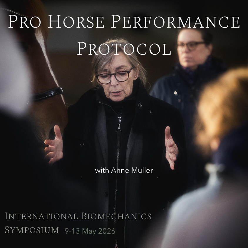 Performance Protocol Pro Horse Performance Protocol | CentrelineCollective