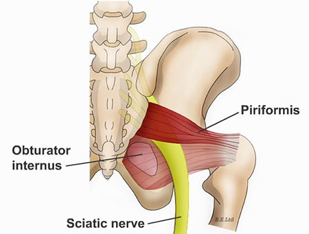 Unlock the Power of Your Pelvic Floor