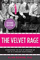 velvet rage.jpg