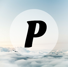 Peak Aviation Logo - Pilot Training Website
