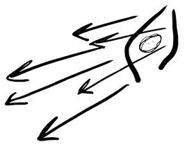 cng sk.png