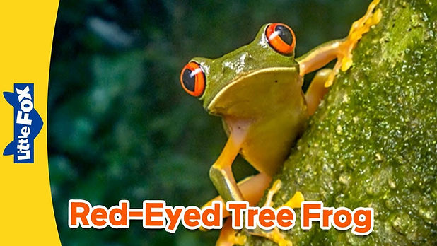 youtube-little-fox-frogs.jpg